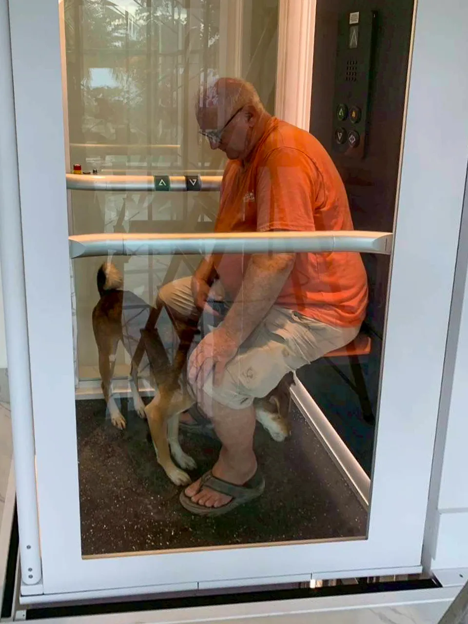 Mencari Outdoor Lift? Kenali Solusi Lift Rumah Semi-Outdoor yang Tepat 14 Pengguna lansia duduk bersama anjing di dalam platform lift rumah dengan shaft kaca.